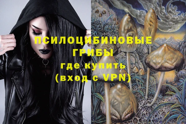 дживик Белоозёрский