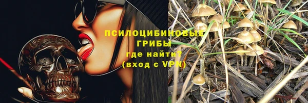 дживик Белоозёрский