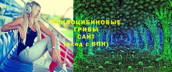 дживик Белоозёрский