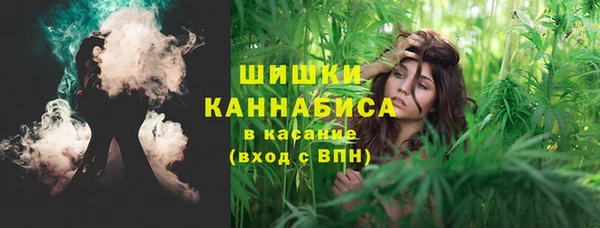 дживик Тайга