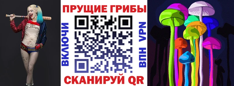 Галлюциногенные грибы Psilocybine cubensis  Дагестанские Огни 