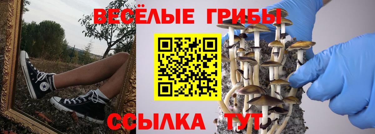 купить закладку  Псилоцибиновые грибы мицелий  Вход с VPN  Галлюциногенные грибы мухоморы  Дагестанские Огни 