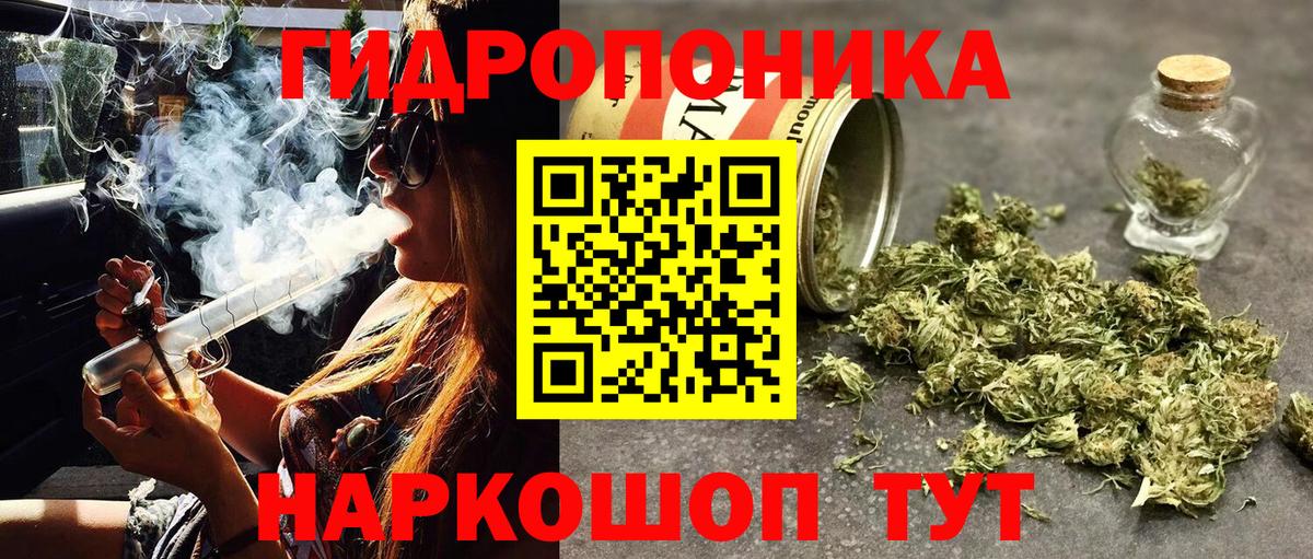 Бошки Шишки план  Вход с VPN  Шишки марихуана сатива  Дагестанские Огни  Бошки Шишки Bruce Banner  Марихуана VHQ 
